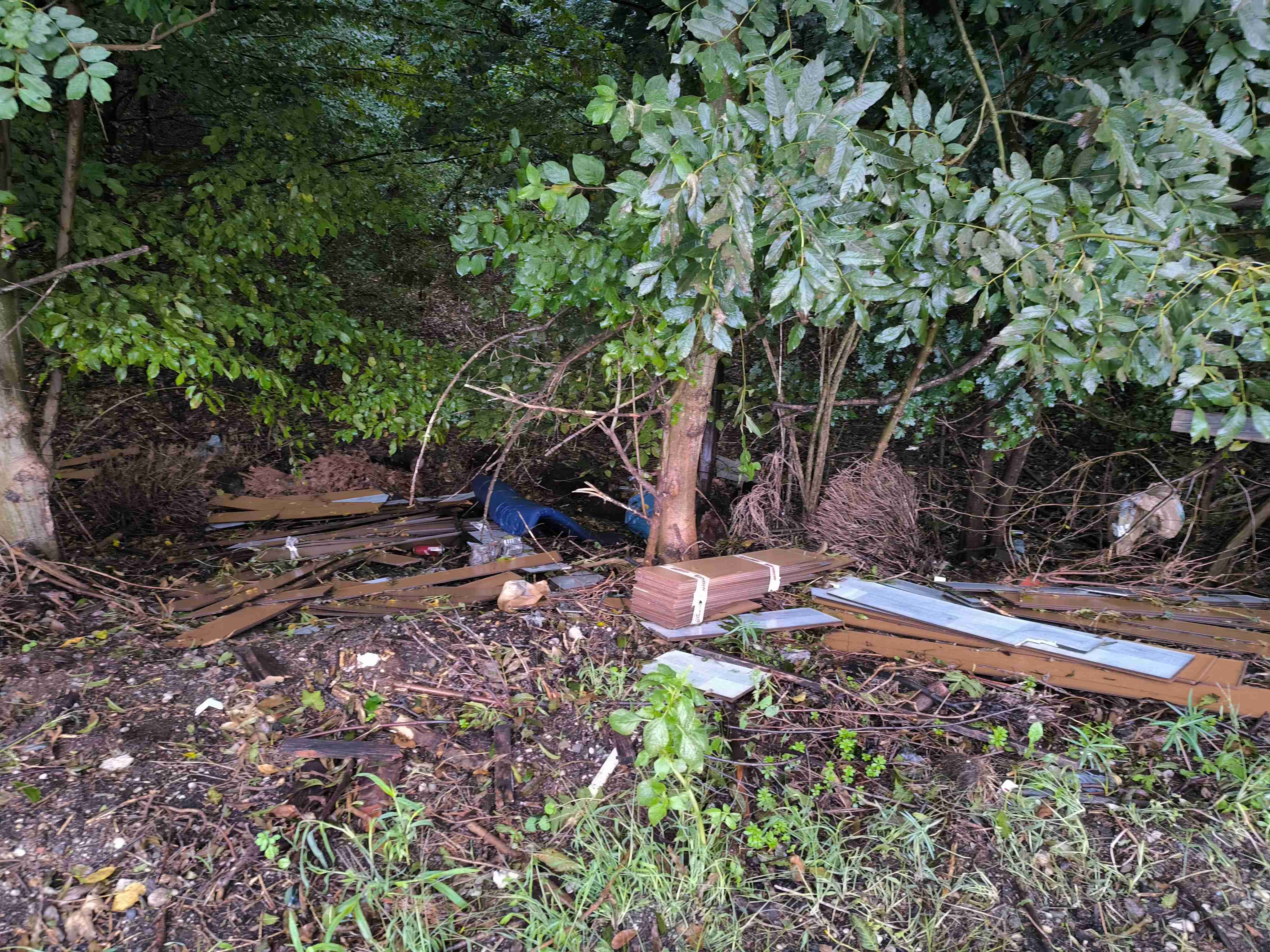 Divje odlagališče v Betnavskem gozdu