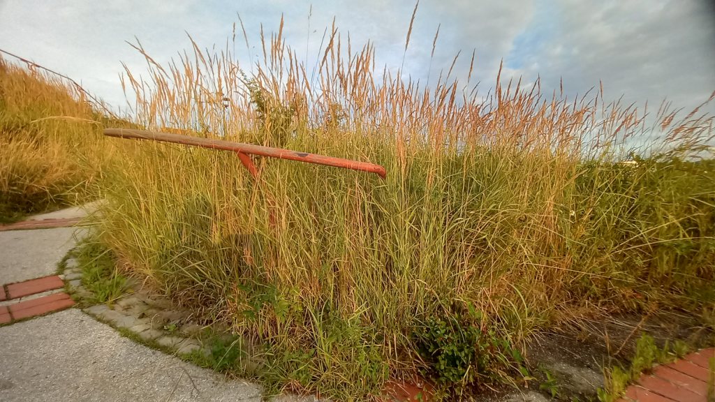 Greenwich - še vedno nepokošena trava?!