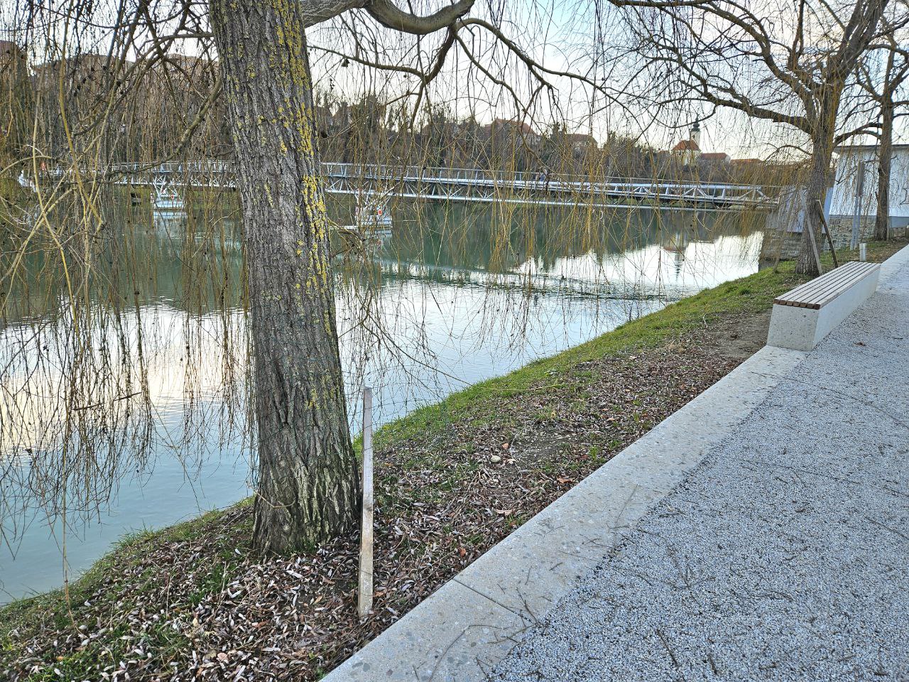 Poslabšanje varovanja dreves na Lentu pred bobri