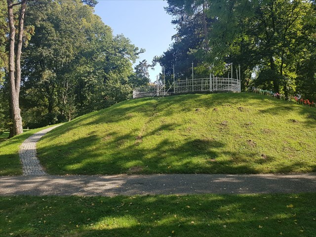 Rožni grič v Mestnem parku