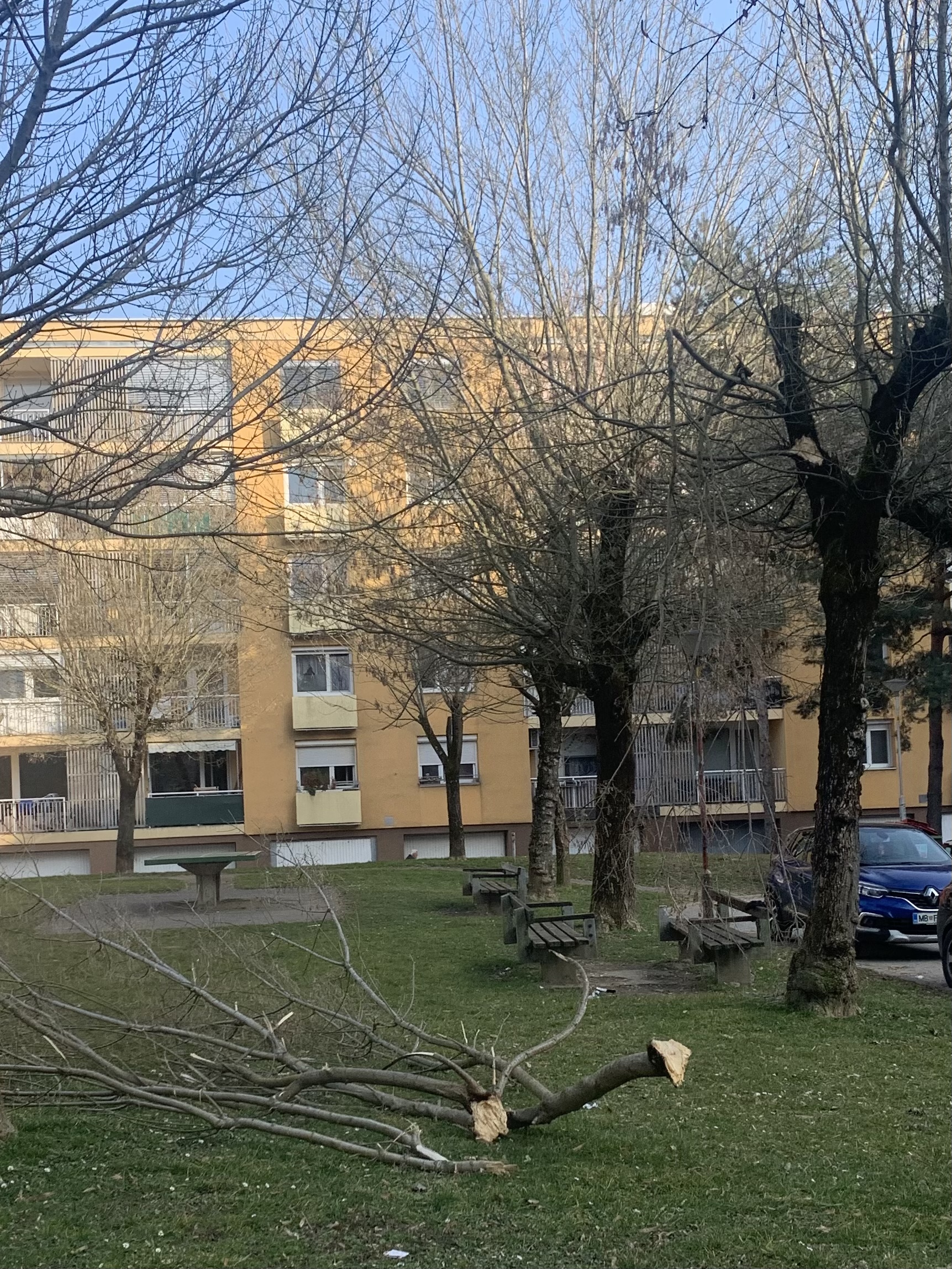 Obnova nevarnega parka - Smetanova ulica