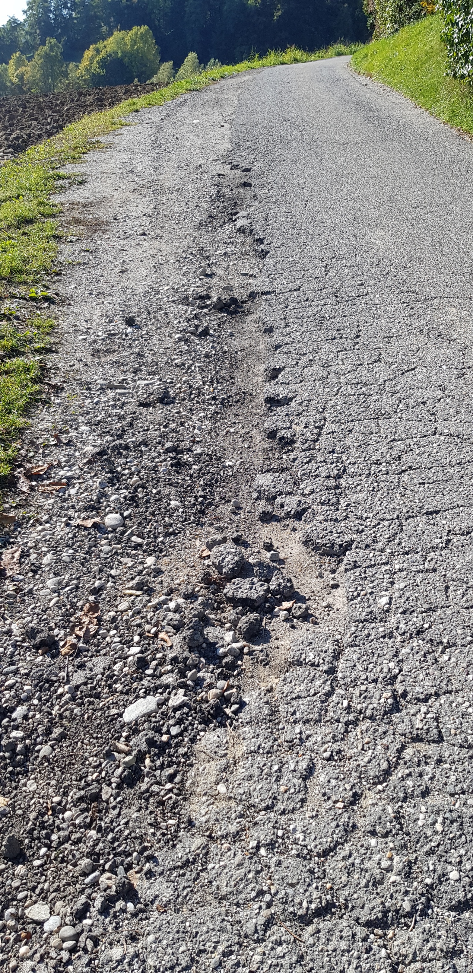 Obnova ceste v Dolnji Počehovi