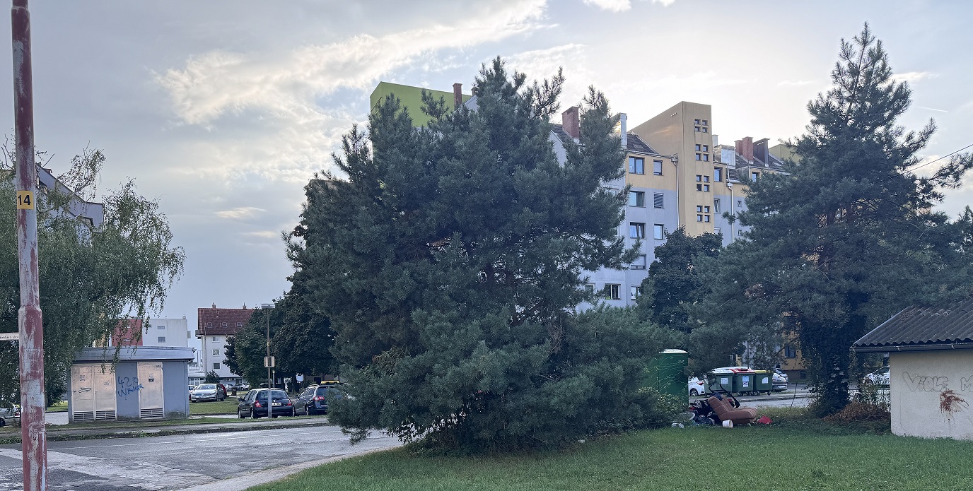 Divje odlagališče na Teznem