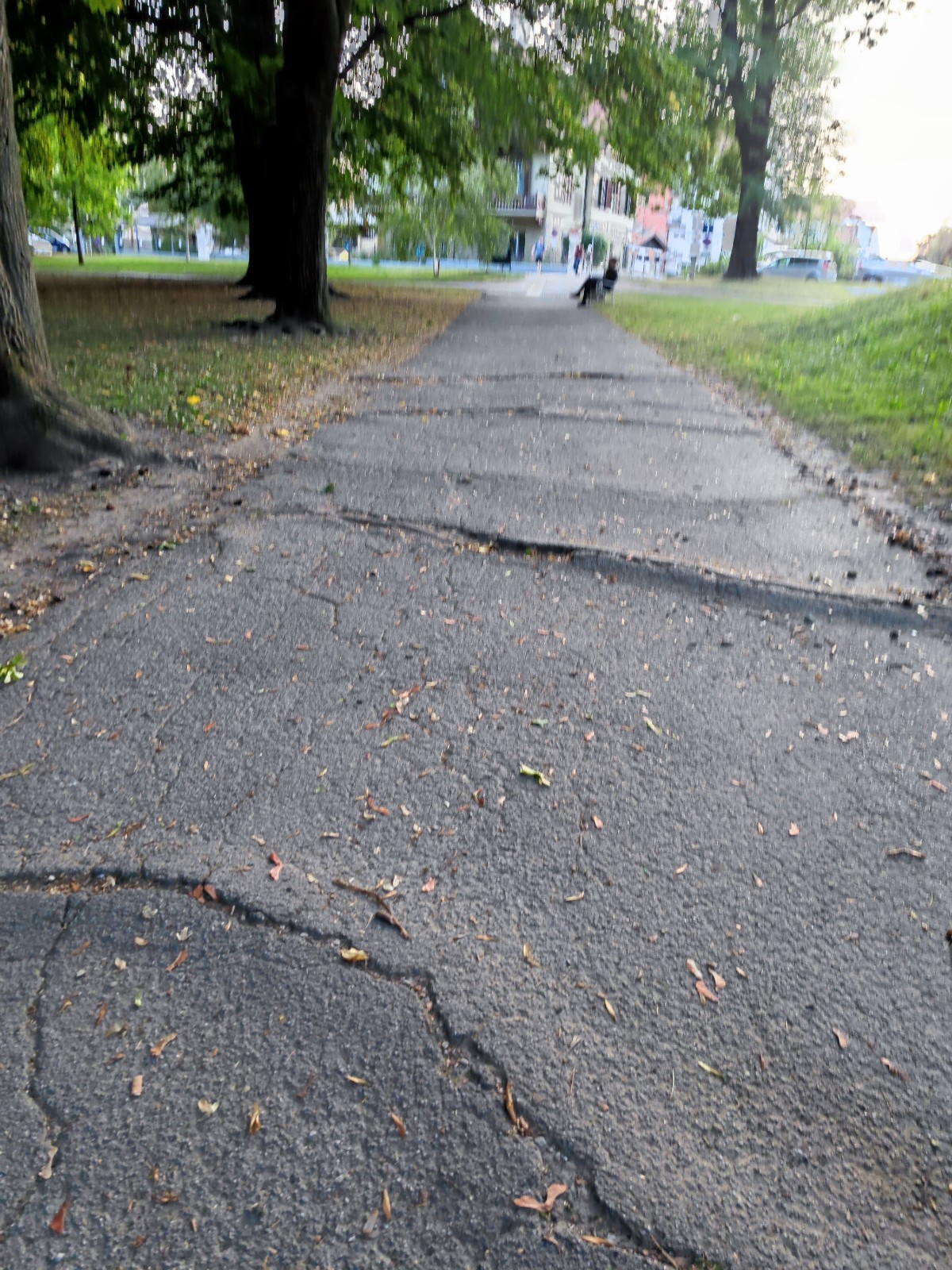 Mestni park - nevarne poti