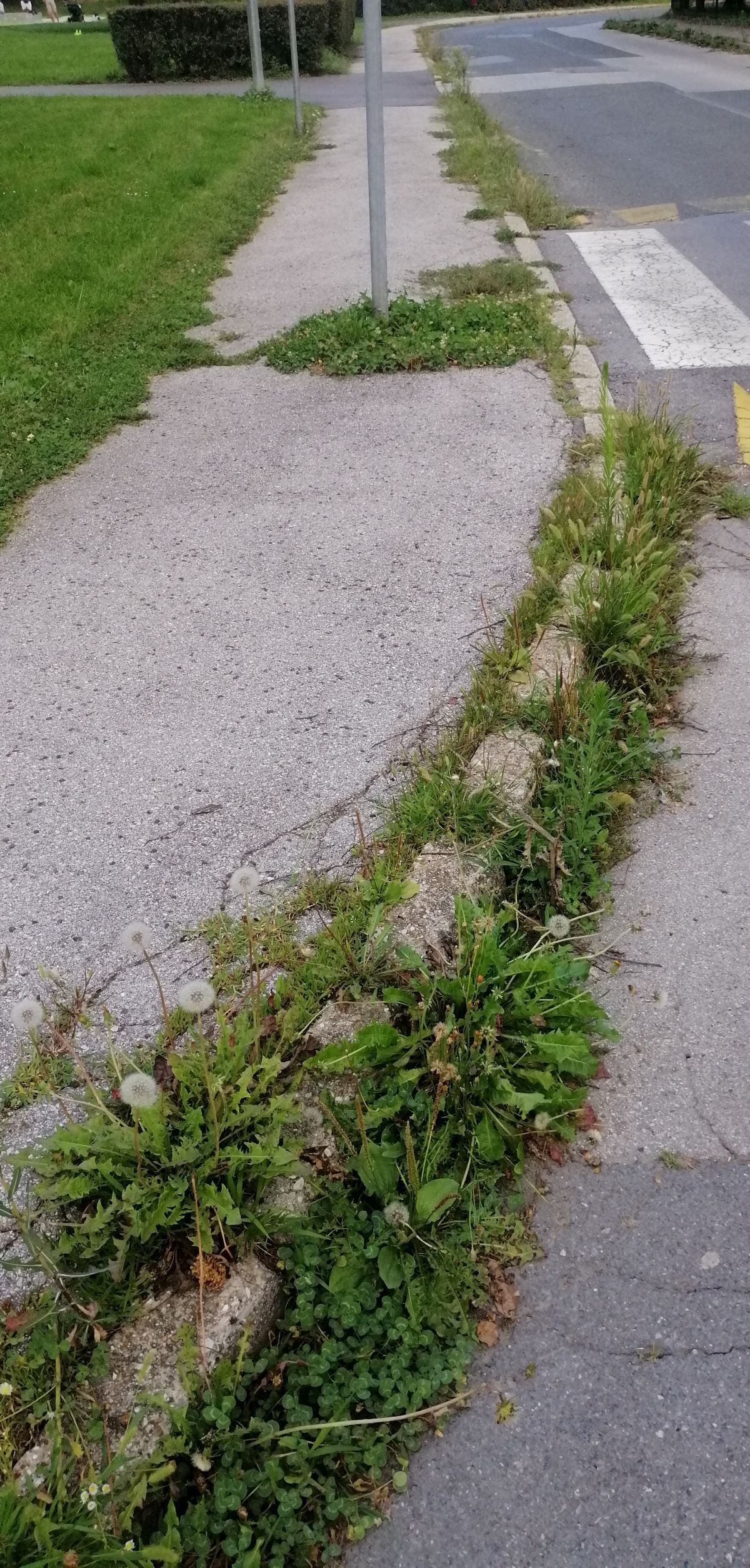 Vsesplošna neurejenost mesta