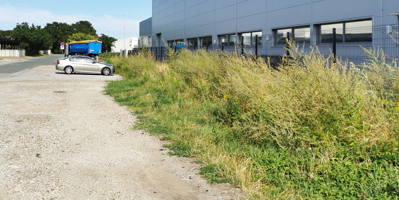 Plevel v Lahovi ulici