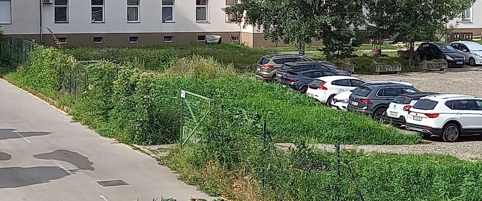 Zemljišča v Magdaleni