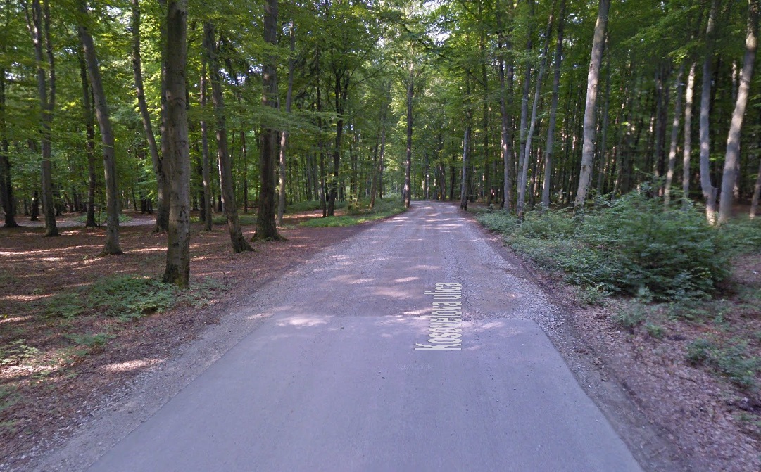 Asfaltiranje Belokranjske ulice v Stražunu