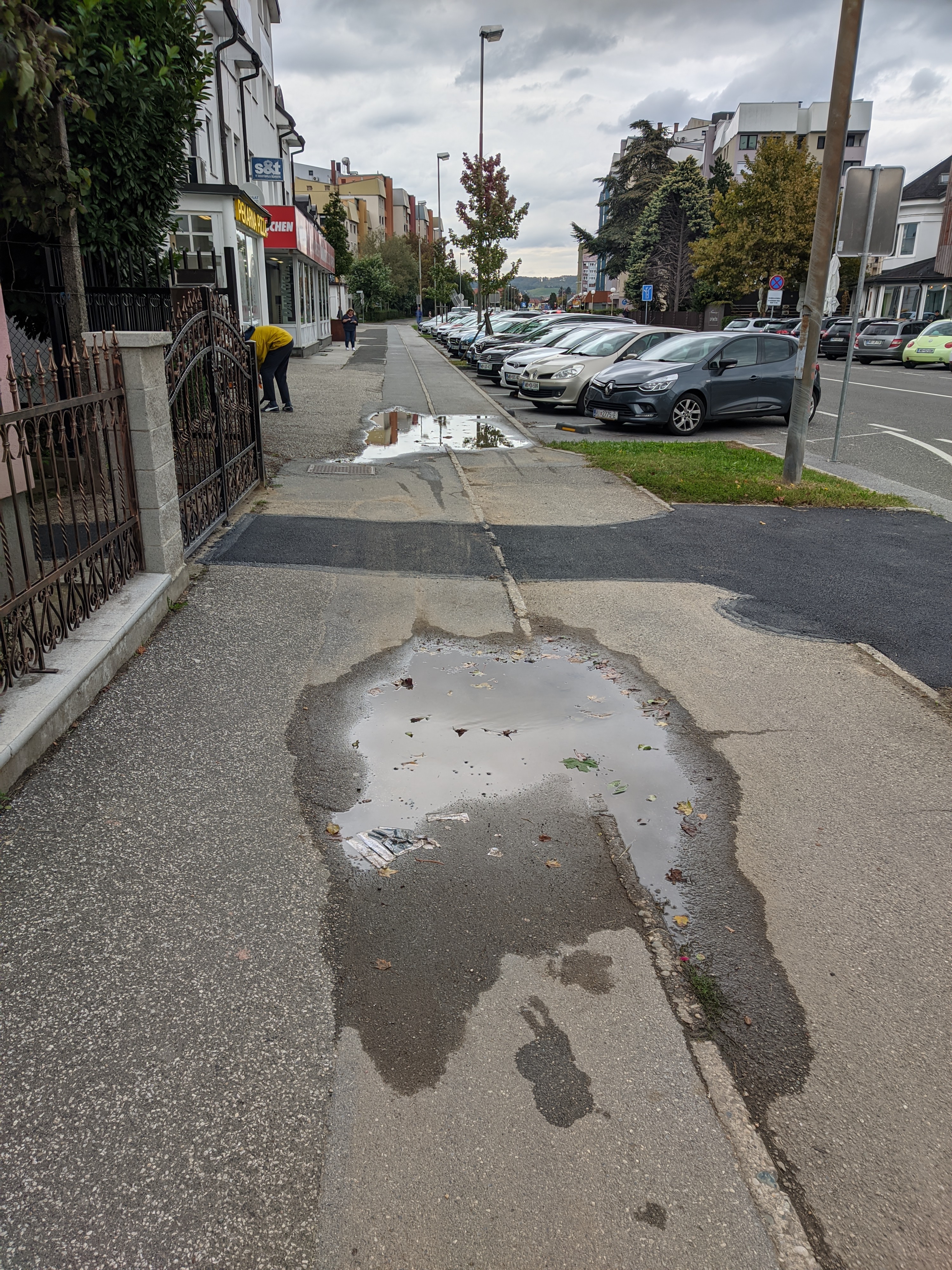 Luže čez kolesarsko stezo na Kardeljevi cesti