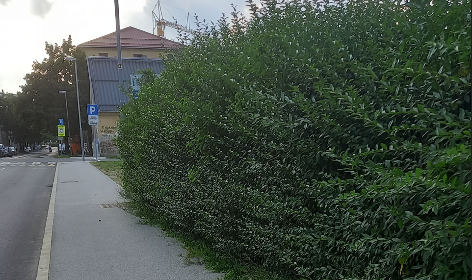 Kaj sploh počne Nigrad?